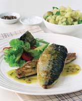 Mackerel & Citrus Dressing